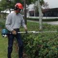 Makita EN5950SH long reach hedge trimmer
